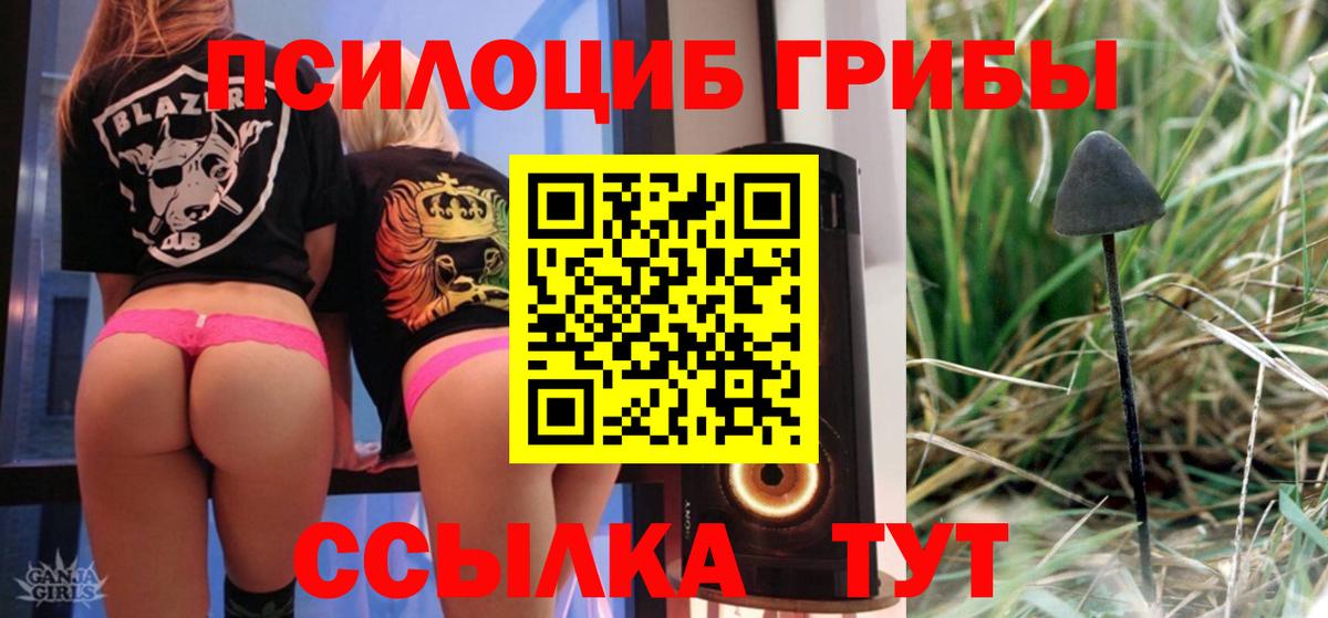 Галлюциногенные грибы ЛСД Орехово-Зуево